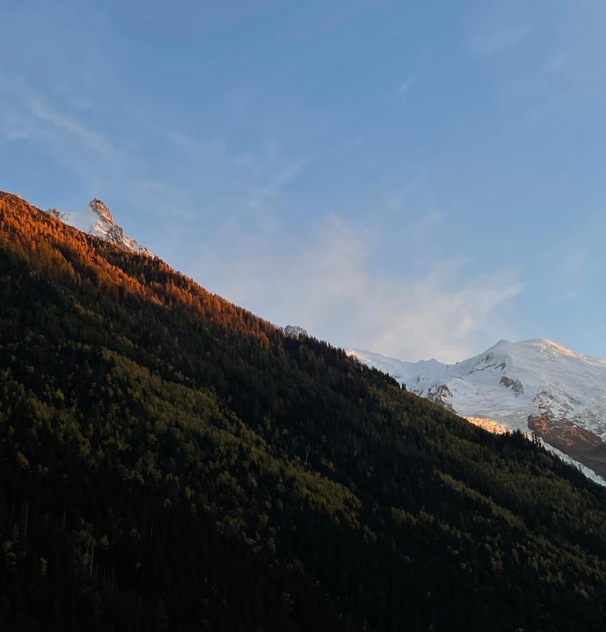 Appartement Center & Unique Mountain View à Chamonix Extérieur photo